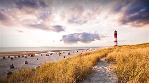 amrum hermes|amrum island germany.